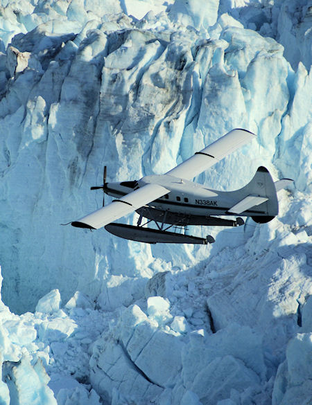 Taku Glacier Lodge Flight & Feast